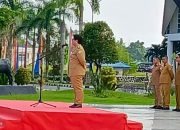 Kepala Brida Sultra Pimpin Apel Gabungan Lingkup Pemprov Sultra 