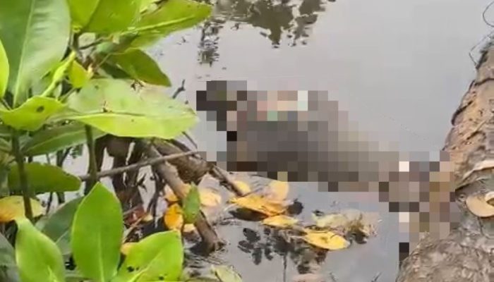 Warga Kapoiala Konawe Temukan Pria Tanpa Identitas Tewas Mengambang di Sungai