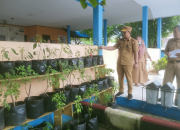 Sambut HUT ke-193 Kota Kendari, Pemkot Kendari Gelar Lomba Penanaman Tabulakar dan Tabulampot