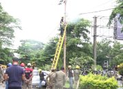 Pemkot Kendari Putuskan Aliran Listrik dan Segel Lapak PKL di Area Eks-MTQ Kendari