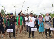 Kemenag Sultra Bersama GP Ansor Bersinergi Tanam 1.000 Bibit Mangrove di Teluk Kendari