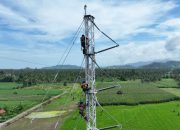 Jaga Keandalan Pasokan Listrik, PLN Gerak Cepat Bangun Tower Emergency Jalur Wolo-Kolaka