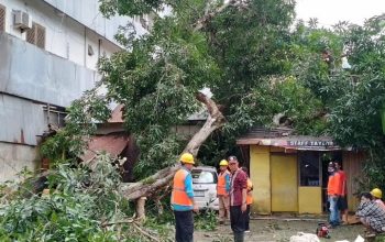 Rumah warga di Kelurahan Watu-Watu, Kecamatan Kendari Barat, Kota Kendari rusak berat akibat tertimpa pohon tumbang