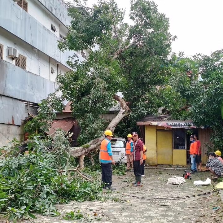 Rumah warga di Kelurahan Watu-Watu, Kecamatan Kendari Barat, Kota Kendari rusak berat akibat tertimpa pohon tumbang