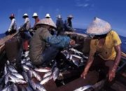 TEKNOLOGI UNTUK MENINGKATKAN HASIL TANGKAPAN NELAYAN