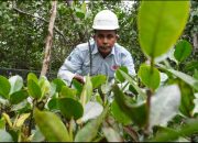 PT DSSP Power Kendari Inisiasi Mitigasi dan Adaptasi Perubahan Iklim Di Desa Mata Wawatu