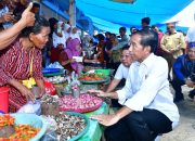 Presiden Jokowi Tinjau Stabilitas Harga di Pasar Lacaria Kabupaten Kolut Jelang Iduladha