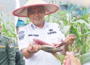 Tekan Inflasi, Pj Wali Kota Kendari Minta Galakkan Gerakan Menanam di Pekarangan