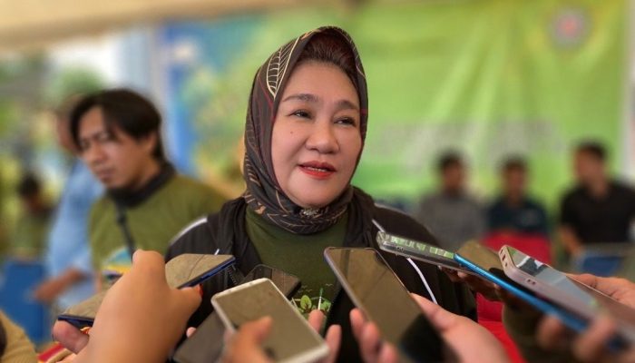 Tina Nur Alam Resmi Maju Pilgub Sultra 2024