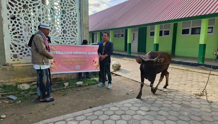 Rayakan Idul Adha 1445 H, The Park Kendari Bagikan Sapi Kurban untuk Masyarakat Sekitar