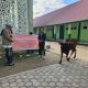 Penyerahan sapi kurban oleh Manajemen Mall The Park Kendari kepada pengurus Masjid Thalabul Ilmi MTsN 1 Kendari