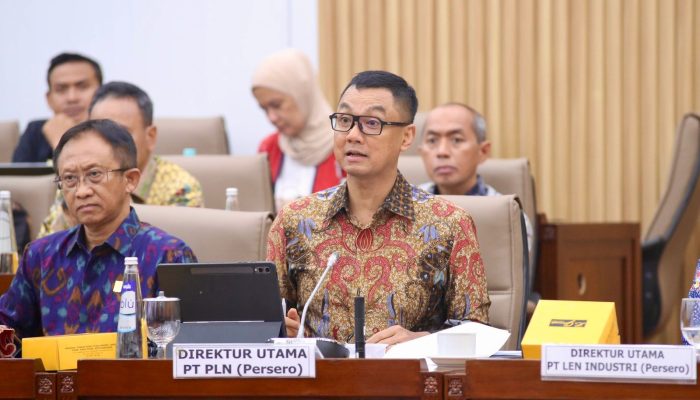 PLN Usulkan Rp3 Triliun PMN 2025 Untuk Bangun Kelistrikan Daerah Terpencil