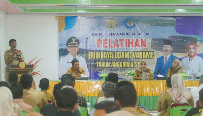 Bangkitkan Ekonomi Daerah, Pemkot Baubau Mulai Tatap Budidaya Udang Vaname