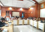 Pemprov Sultra Ikuti Rakor Pengendalian Inflasi bersama Kemendagri secara Virtual