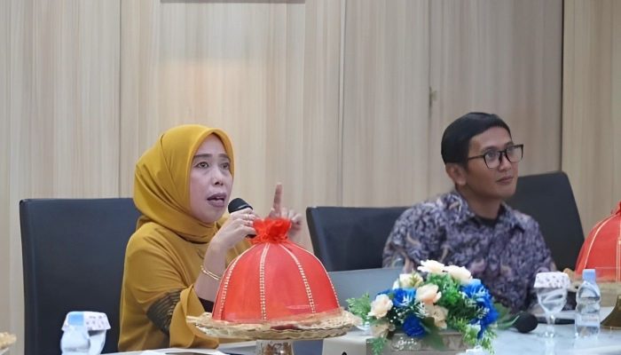 Gandeng Pemkab Sumedang, Dinas Kominfo Kendari Bakal Terapkan E-Office