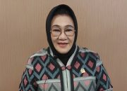 Calon Gubernur Sulawesi Tenggara (Sultra), Tina Nur Alam