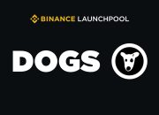 Komunitas DOGS JP Brutal, Siap Listing di Binance Melalui Launchpool