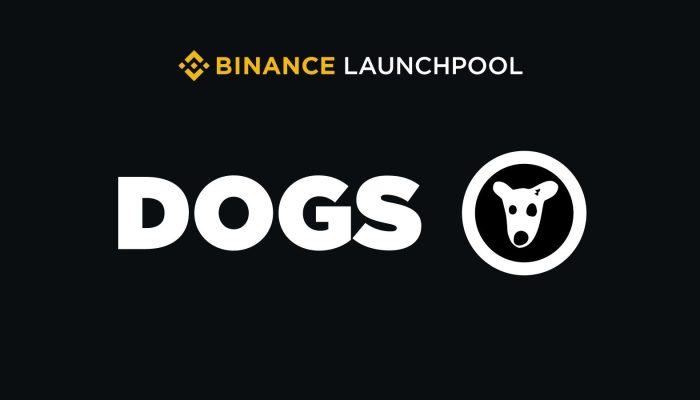 Komunitas DOGS JP Brutal, Siap Listing di Binance Melalui Launchpool