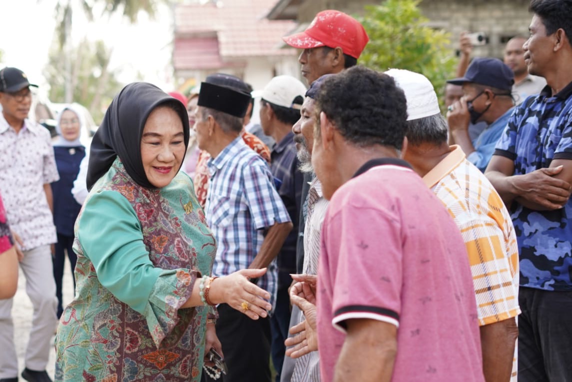 Calon Gubernur Sulawesi Tenggara, Tina Nur Alam