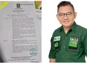 PKB Telah Terbitkan Rekom B1KWK Pasangan HADIR di Pilbup Konawe, Ketua DPW PKB Sultra : Nanti Diinfokan Penyerahannya