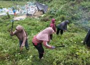 Warga Kelurahan Tobimeita Lakukan Kerja Bakti Bersihkan Tempat Pemakaman Umum