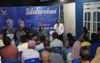 Calon Gubernur Sultra, Tina Nur Alam bersama pengurus DPD Partai Nasdem