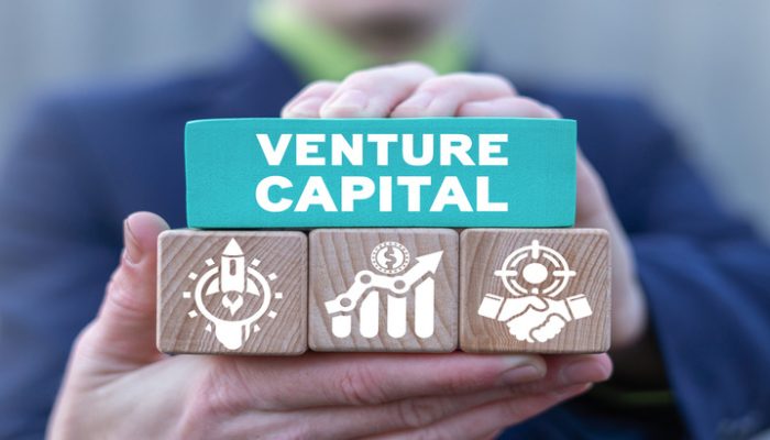 Ini Cara Kerja Venture Capital Mendanai Project Crypto