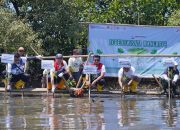 Lestarikan Ekosistem Pesisir, Pertamina Patra Niaga Sulawesi Melakukan Penanaman Mangrove di Parangloe Makassar