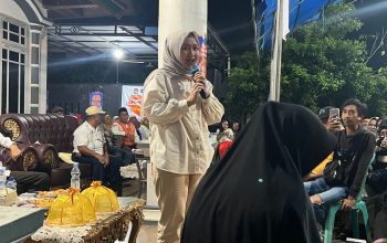 Calon Wali Kota Kendari, Sitya Giona Nur Alam