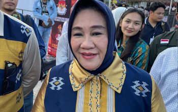 Calon Gubernur Sultra, Tina Nur Alam