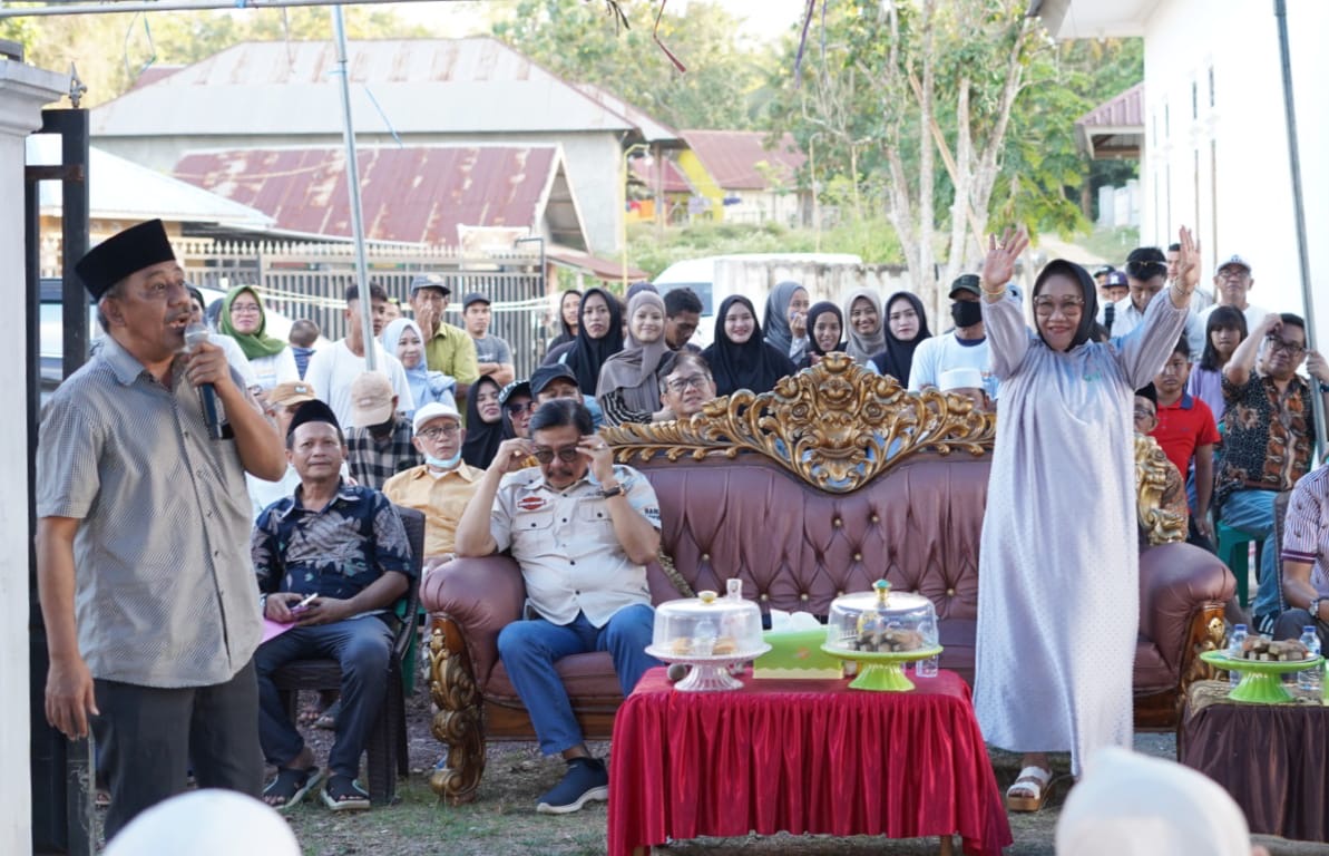 Calon Gubernur Sultra, Tina Nur Alam