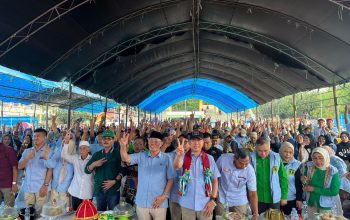 Kampanye calon Gubernur Sultra, Andi Sumangerukka