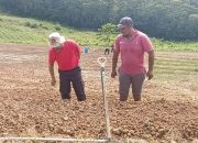 Kendalikan Inflasi, Pjs Bupati Konut Tanam Bibit Bawang Merah Bersama Kelompok Tani