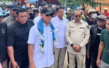 Cagub Sulawesi Tenggara, Andi Sumangerukka