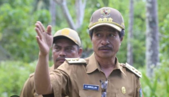 Menilik Capaian Pembangunan Wawonii Dalam Pikiran Amrullah