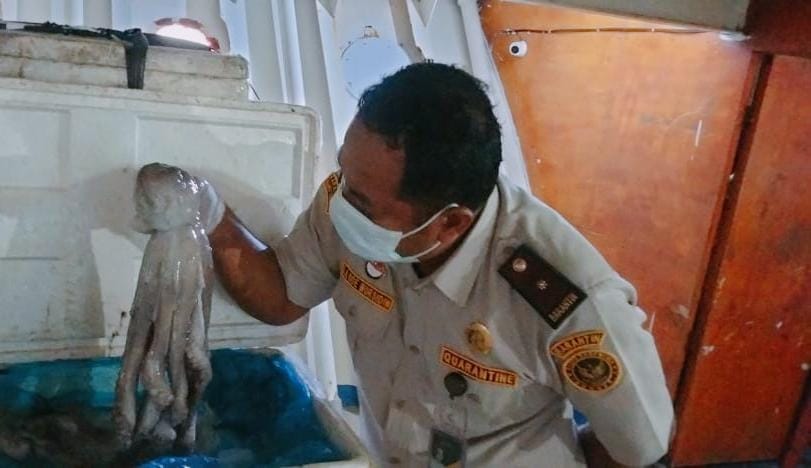 Balai Karantina Hewan, Ikan dan Tumbuhan Sulawesi Tenggara saat melakukan pengawasan pangan