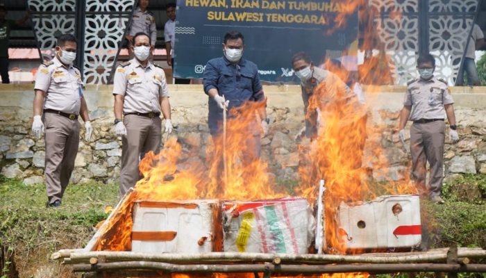 Barantin Sultra Musnahkan Sosis Babi dan Telur Bebek Tak Berdokumen Karantina Asal Batam