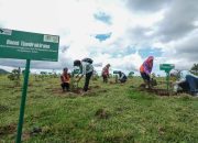 Hadirkan Masa Depan Berkelanjutan, PT Vale Dukung Rehabilitasi DAS di Sulawesi Selatan