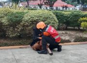 Edukasi Kesiapsiagaan Warga, BPBD Konawe Gelar Simulasi Evakuasi Bencana Gempa Bumi