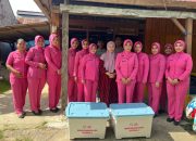 Peringati Hari Ibu ke-96, Ketua Bhayangkari Daerah Sulawesi Tenggara Bagikan Bunga kepada Masyarakat