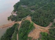 Kondisi hutan di Desa Puununu, Kecamatan Kabaena Selatan, Kabupaten Bombana