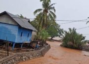 AMPLK Sultra Soroti Aktivitas PT Tambang Bumi Sulawesi di Desa Pu’ununu