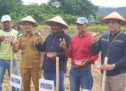 Ketua DPRD Kota Kendari Ikuti Penanaman Jagung Serentak 1 Juta Hektare