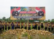 Dukung Program Ketahanan Pangan Nasional, Polda Sultra Panen Jagung dan Tabur 1000 Benih Ikan di Lahan Sat Brimob