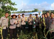 Dukung Program Asta Cita, Polres Buton Sukses Panen Raya Jagung