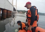 Gadis 19 Tahun Lompat dari Jembatan Teluk Kendari, Tim SAR Lakukan Pencarian