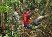 Lima Hari Hilang, Seorang Guru SMP di Buton Utara Ditemukan Meninggal Dunia