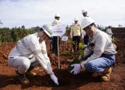Momentum Hari Bumi 2025, PT GKP Lakukan Penanaman Pohon