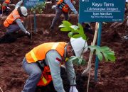 Dari Morowali untuk Bumi: PT Vale IGP Tanam Harapan Lewat Reklamasi Sejak Langkah Pertama