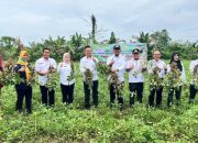 Wawali Kota Kendari Lakukan Panen Perdana Kacang Tanah di Lahan Kelompok Tani Jaya